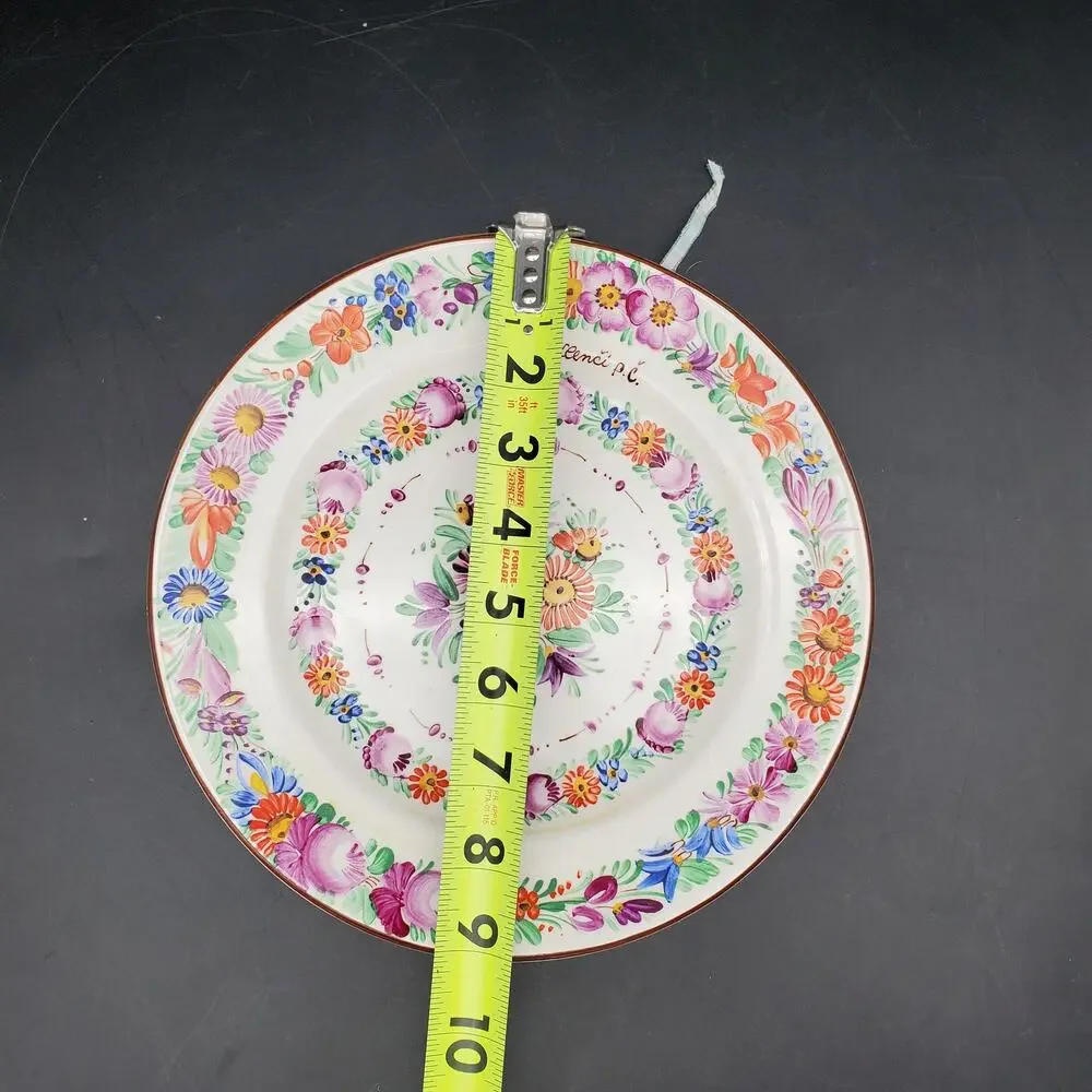 Vintage Chodovia Czech Hand Painted Floral Plate Chodov Porcelain